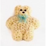 Massed Teddy
