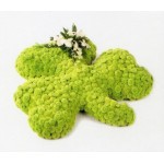 Massed Shamrock