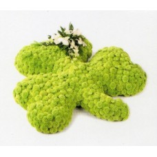 Massed Shamrock Massed Shamrock
