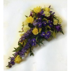 Blue and Yellow Spray