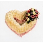 Massed Open Heart