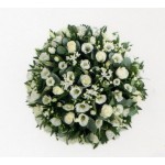 White Posy
